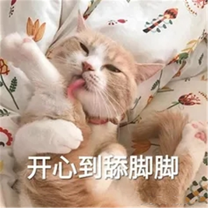 可爱萌宠猫猫搞笑表情包:开心到舔脚脚!