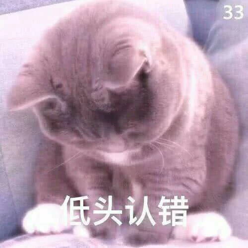 道歉说"对不起"太俗了,一张表情包甩过去,既可爱又可化解矛盾