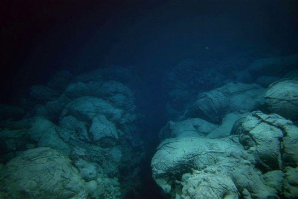深海1万米到底有多恐怖?还有生物在此生存吗?难怪人类