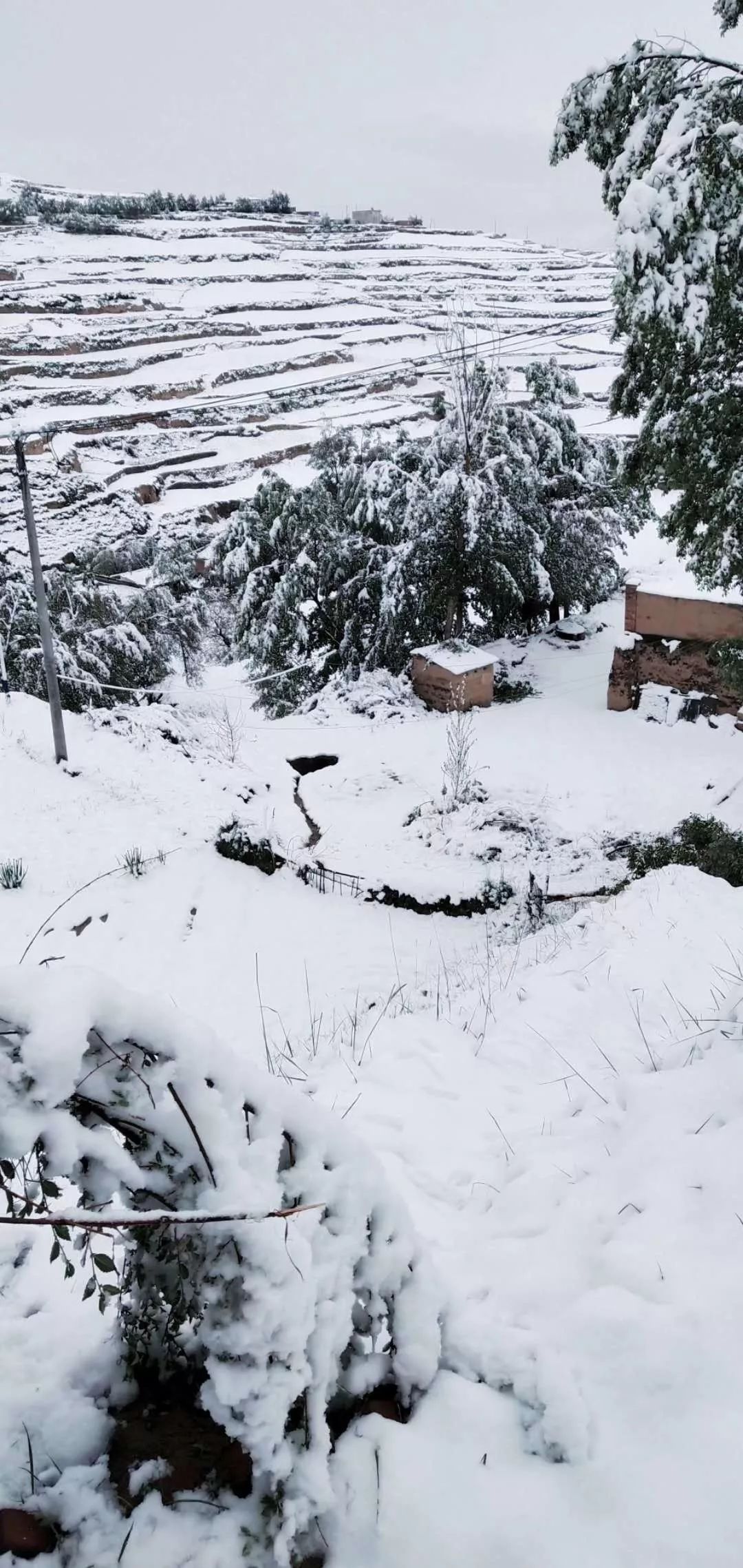 by:芒果宝 定西雪景 五月不下雪 怎么能叫定西的天气 你没看错,大夏天