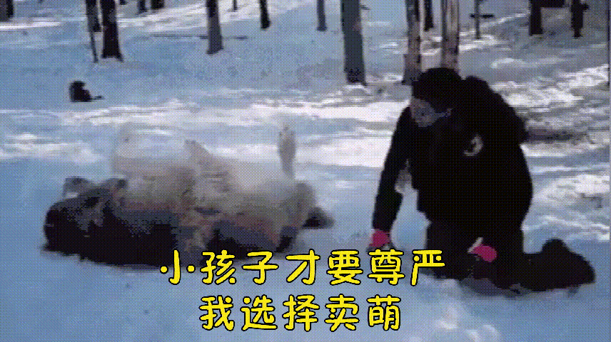 被我爱的人,嫌弃了 gif表情包——段子 69