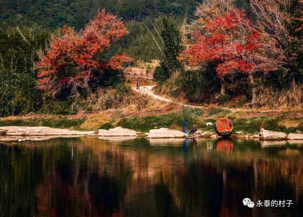 白杜村,乡村振兴,永泰县,梧桐镇