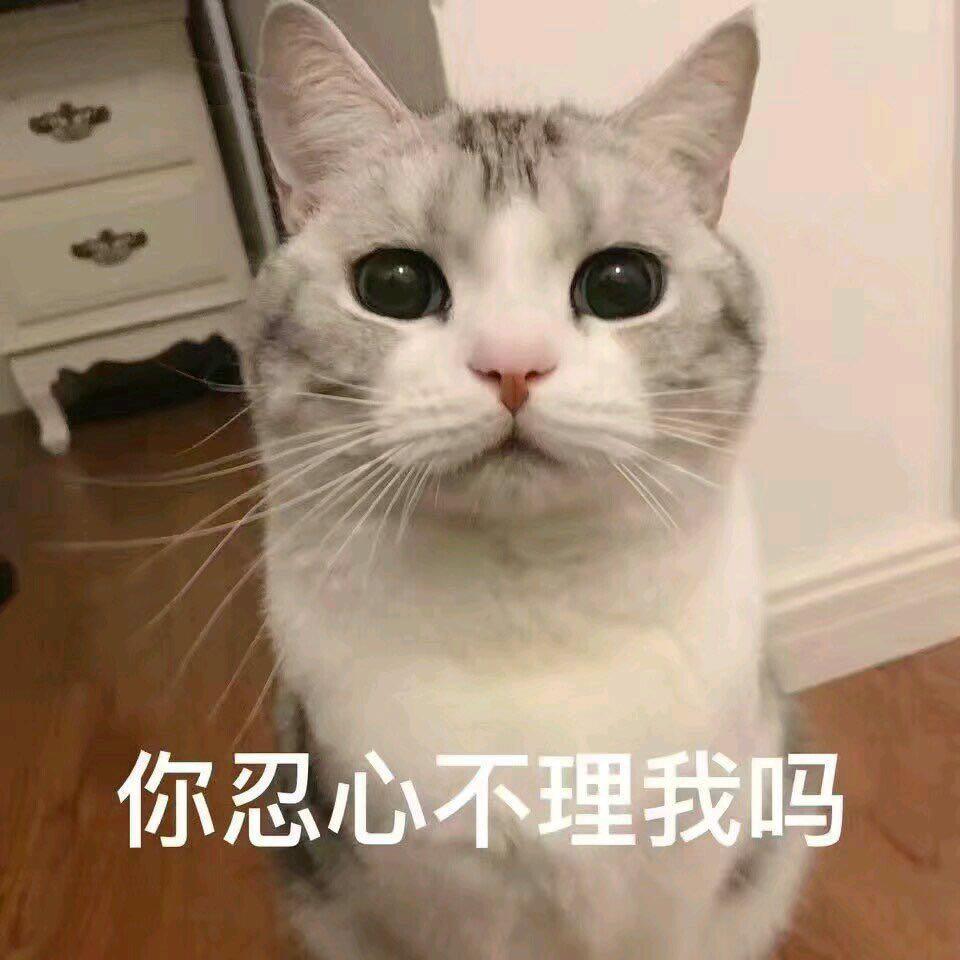 搞笑的表情包:你忍心不理我吗
