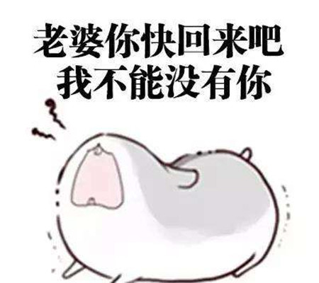 如果上一个表情包,女朋友觉得不够诚意的话,那么好,别人都跪键盘,我