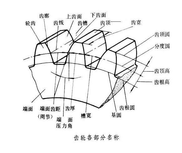 铣齿 展成法:齿面是根据齿轮的啮合原理来形成的,例如滚齿,插齿等.