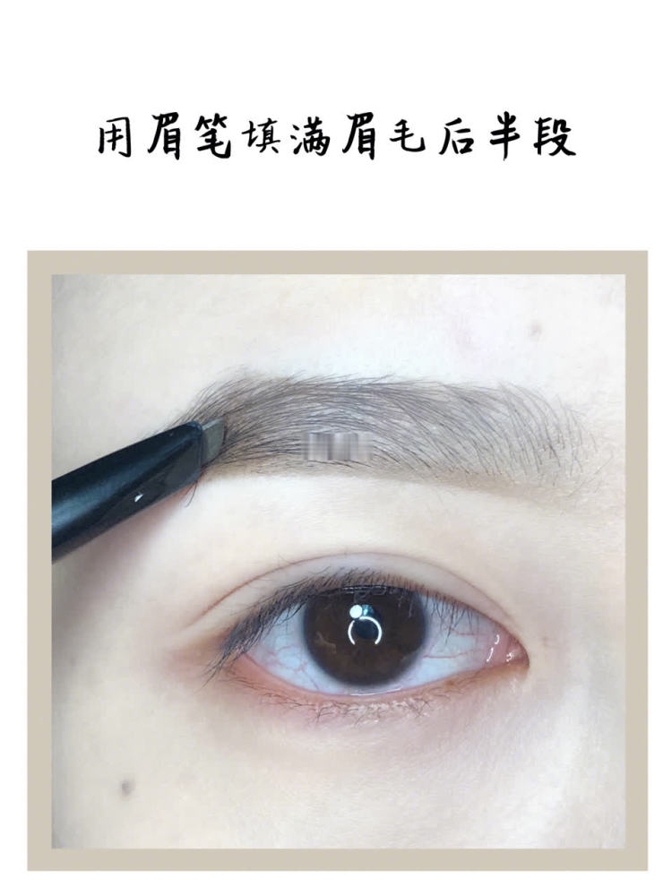 画眉教程适合新手