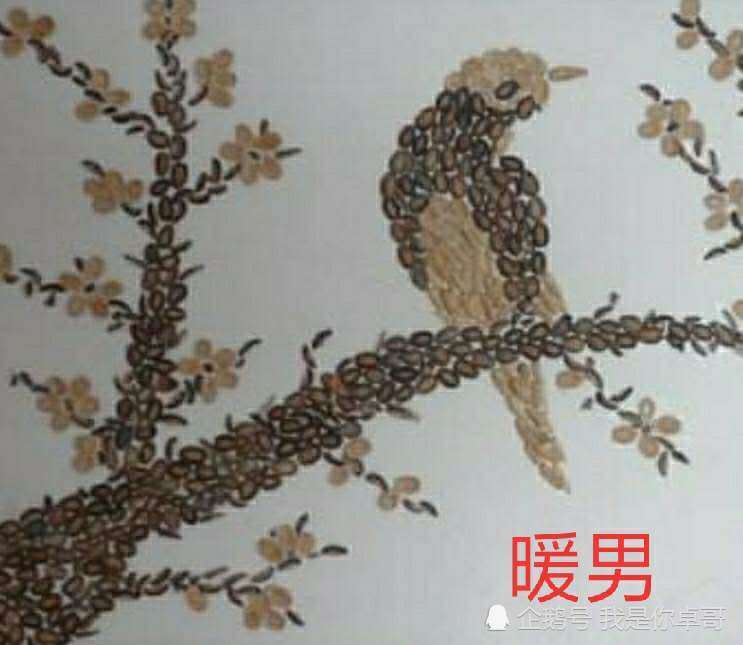 同样是"瓜子皮",直男摆花,暖男摆鸟,看到渣男:想进哥哥鱼塘