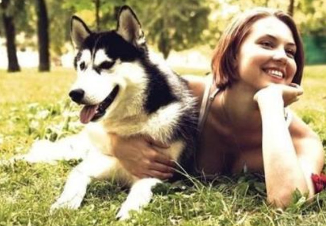 体型最大的5种狗狗 个个体型大如牛 你认为谁是老大 看点快报