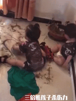 熊孩子的作妖日常,哈哈哈哈哈哈哈哈哈哈哈头笑掉了