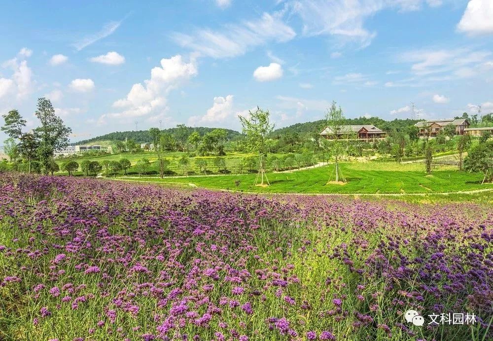 遵义百草园:打造中药养生休闲旅游新典范