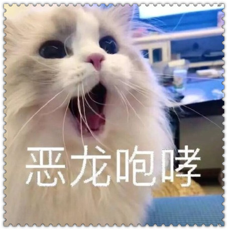 主人一口"吃掉"小奶猫,母猫一脸懵,嗷呜!网友:你没加香菜!