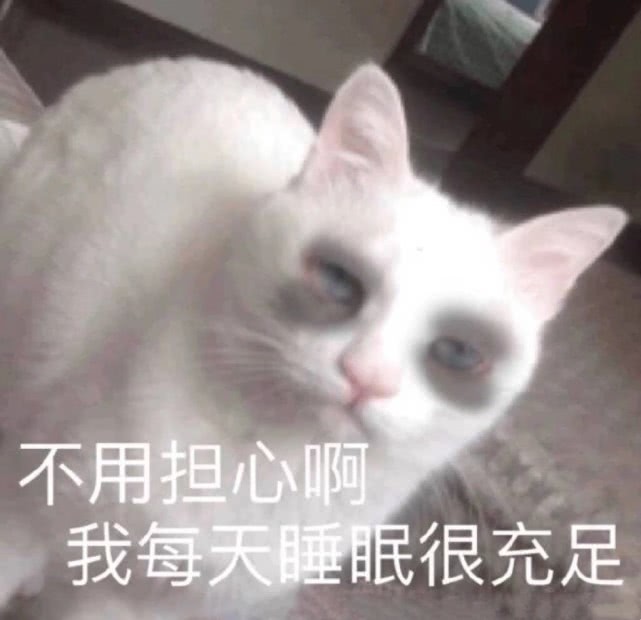 小奶猫也熬夜?表情包撒娇要抱抱,图3一脸懵:或许你有猫饼吗?