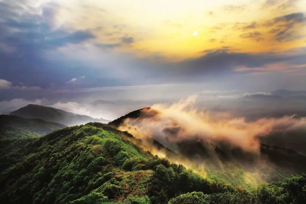皂幕山景区即将重新开放