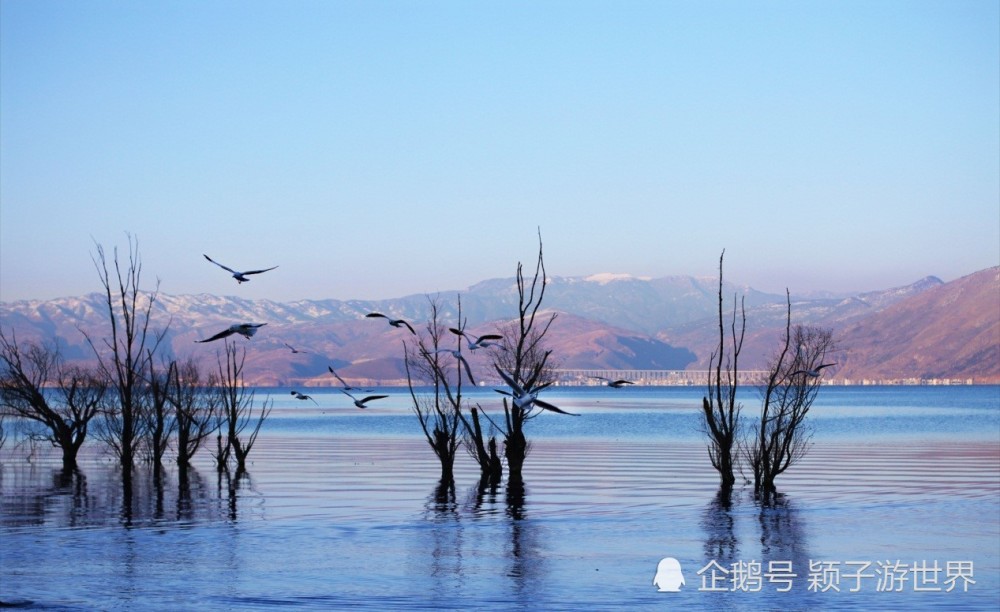 下关风吹上关花,洱海月照苍山雪,属于古城大理的风花雪月