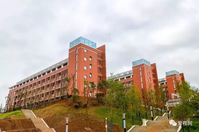 张家界市一中高考学子誓师 全市共设 6个考点 290个考室 分别为 01