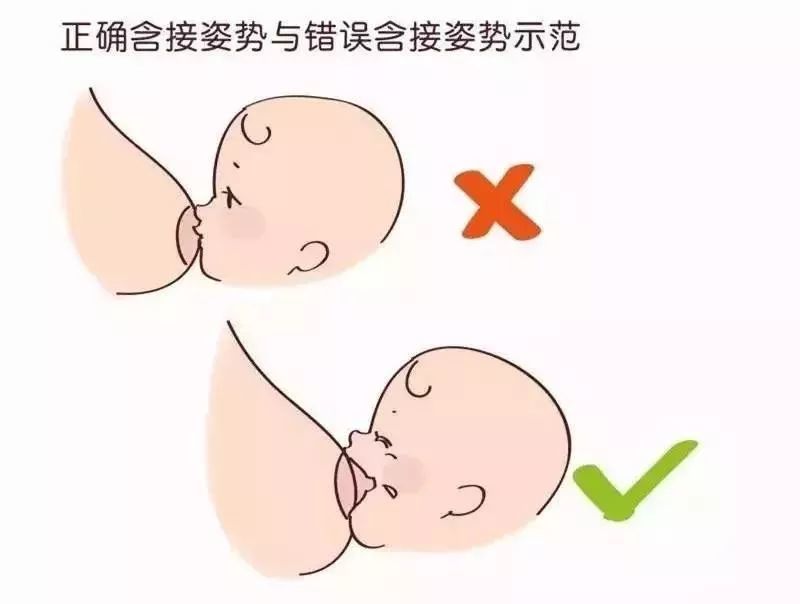 专家演示正确母乳喂养姿势,收好不谢!