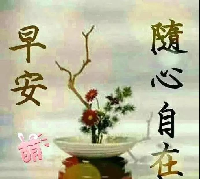 最美早安问候祝福图片唯美温馨带字,清晨早安问候祝福