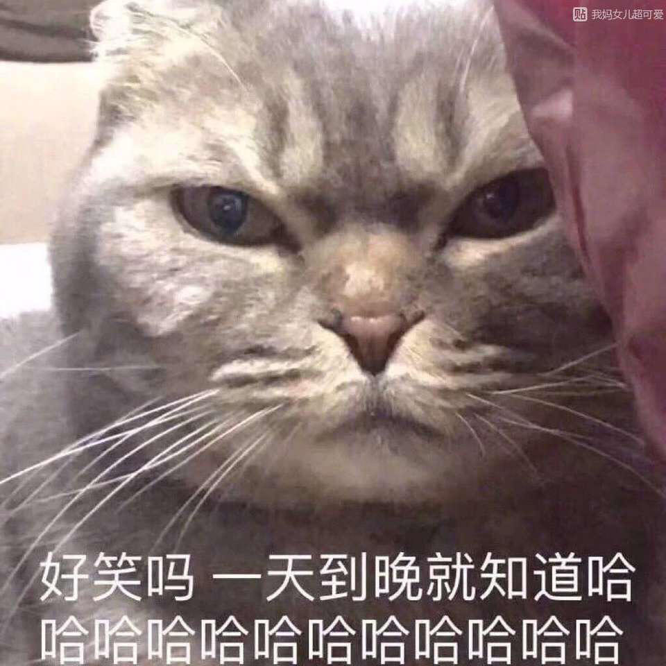 搞笑的表情包:这一定是早就安排好的