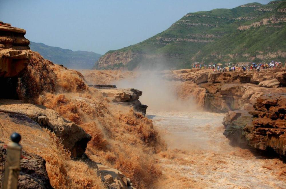 鲤鱼,鱼鳃,黄河,旅游,浑浊