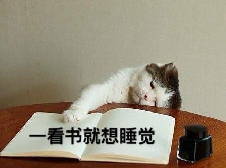 可爱萌宠猫咪搞笑表情包:一看书就想睡觉