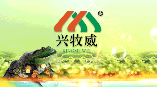 蝦工廠加盟