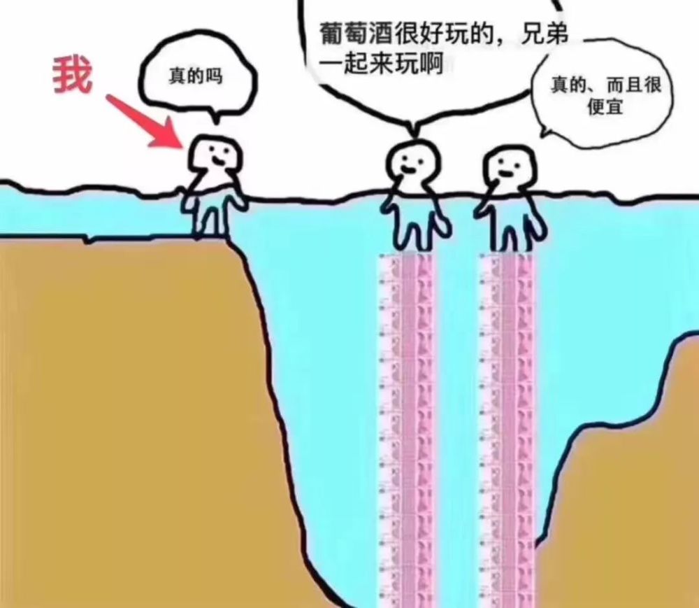 衣服人口_人口普查衣服(2)