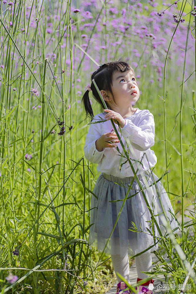 六一儿童节分享一组在福州花海公园拍的小女孩,祝儿童