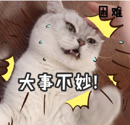 可爱小萌宠猫咪表情包:也不是不困,就是想再等等!