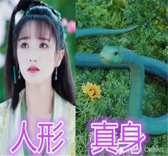真身vs人形,小青青蛇,夜华黑龙,看到他:这才是真龙!霸气!