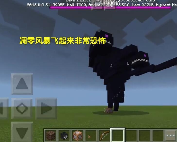 我的世界:翅膀乃飞行必备?大错特错!这五种生物没有依旧能翱翔