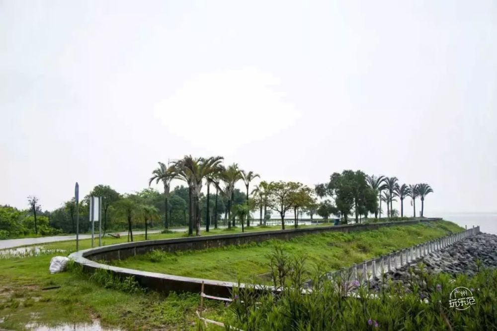 一路上,你会途径海鸥岛公园,渔人码头,红树林公园,累了就停下来,吹吹