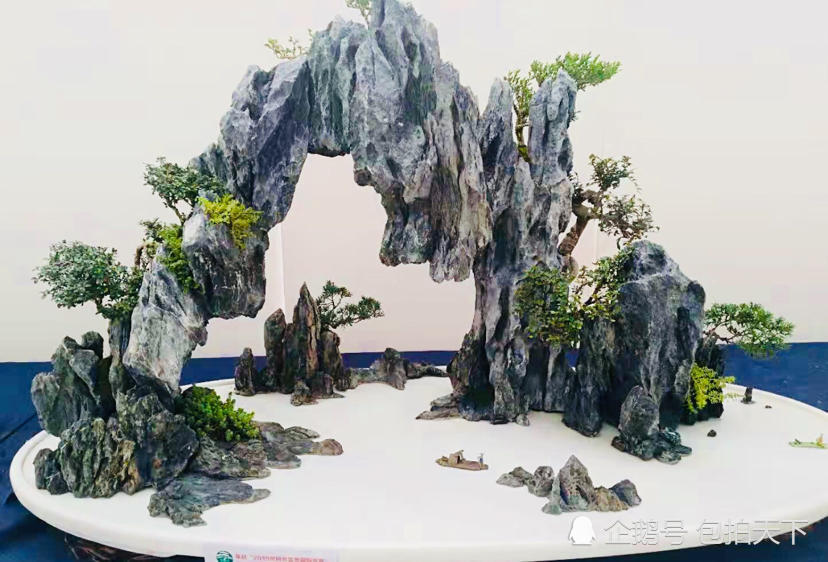 盆景欣赏:痴迷于咫尺 神游于山水 足不出户便可观赏山林野趣