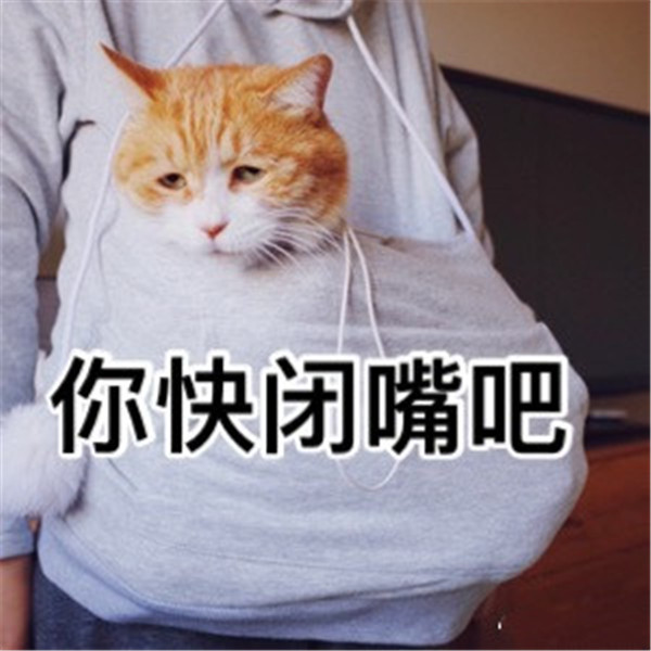 软萌可爱小猫咪搞笑表情包