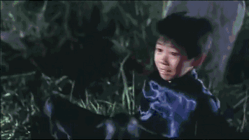 356_200gif 动态图 动图