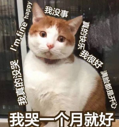 软萌可爱猫咪表情包:我没事,我哭一个月就好!