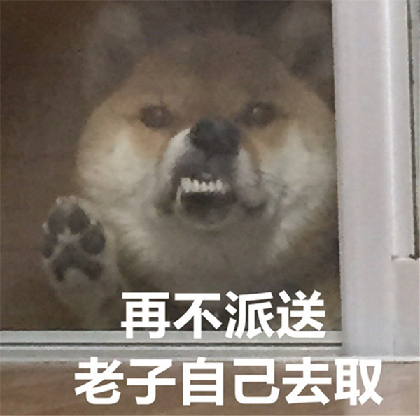 可爱萌宠狗搞笑表情包:别问我过得好不好,你又不是没有我支付宝