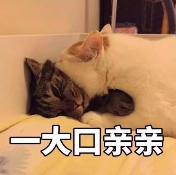 4,裹紧我的小被子