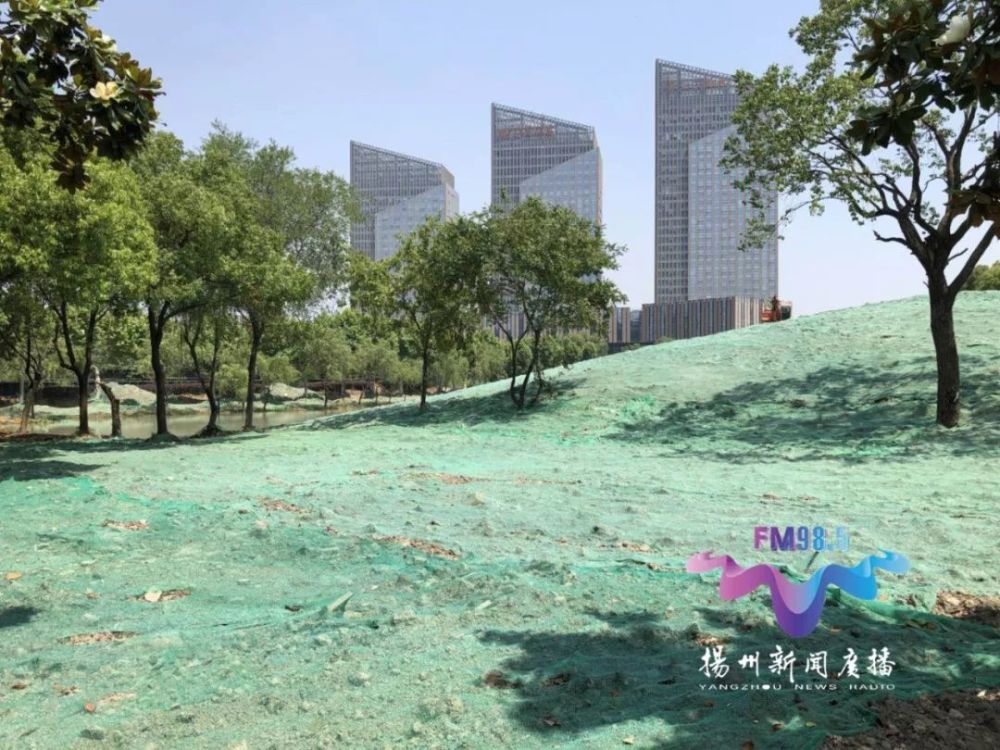 行风追踪:扬州曲江公园步道成了草坪?市民散步去哪里?