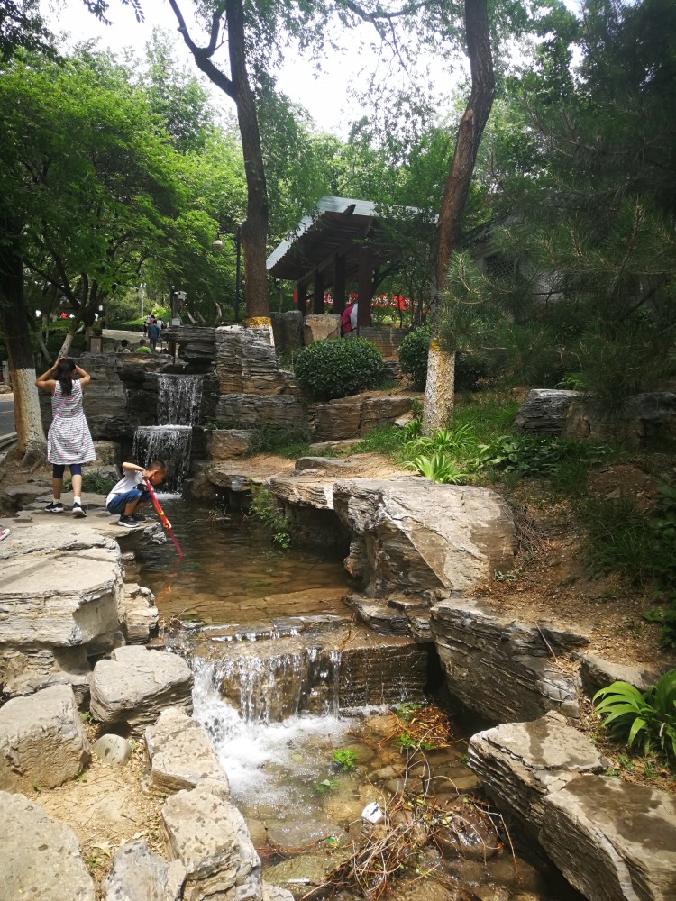 丰台,北宫森林公园,动物园,玩水,遛娃