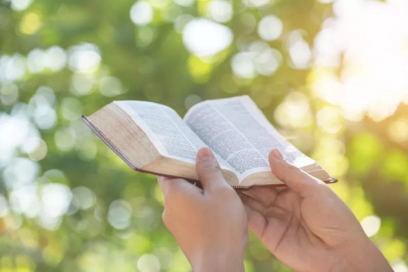 如何将《圣经》的话语落实在你的生命中?