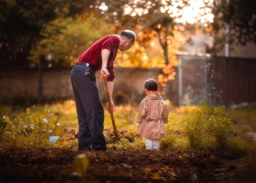 孩子,老人,带娃