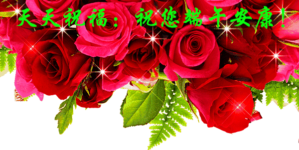 天天祝福,祝您端午安康