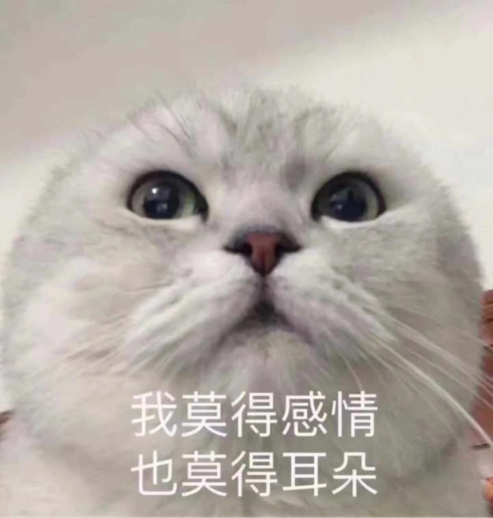 "可萌可萌"的表情包:只要你乖给你买条gai