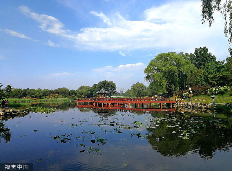 北京圆明园初夏雨后现别样美景