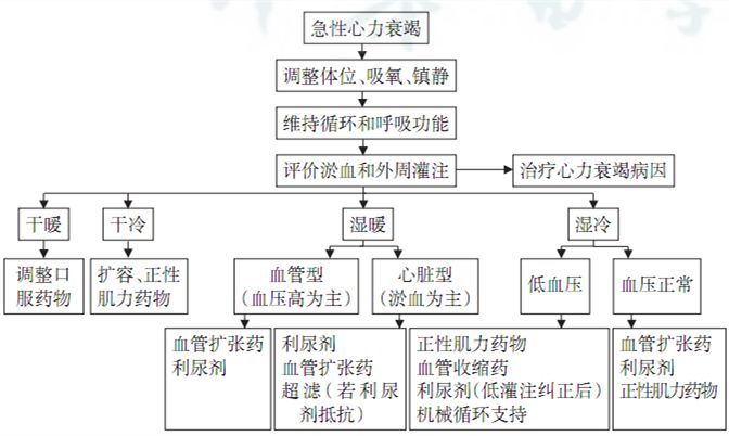 心力衰竭诊治,你需要掌握这些要点