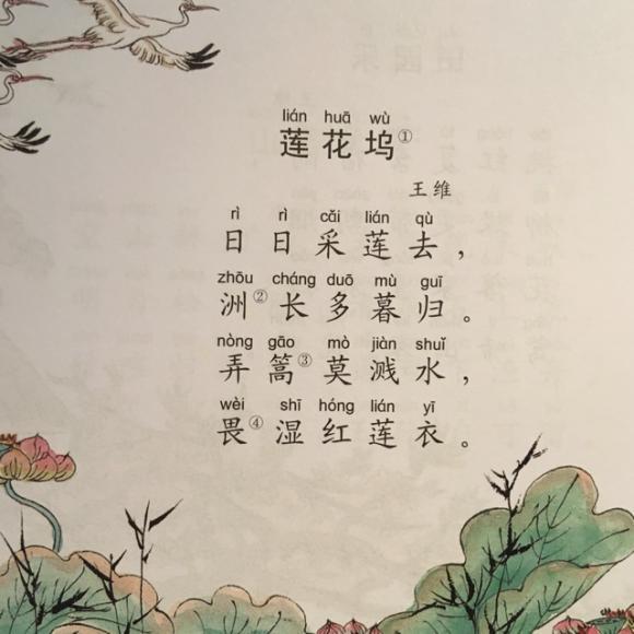 王维,诗人,诗歌,莲花坞,五言绝句