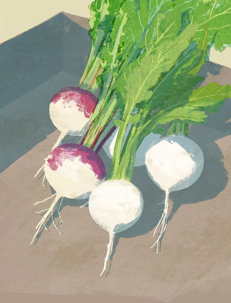 日本插画师tatsuro kiuchi秀色可餐的果蔬系列插画