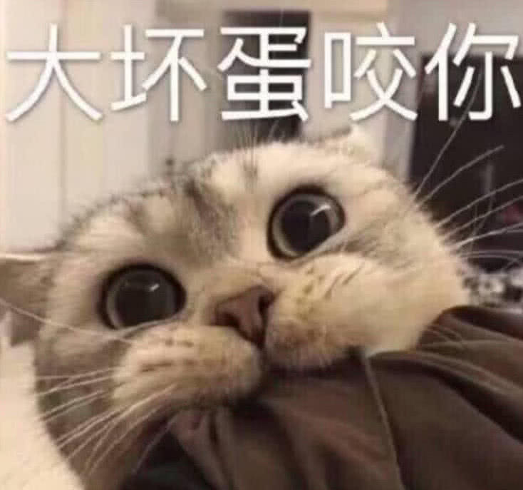 5张很黄很污的表情包,撩到女生"面红耳赤",怕你不敢发
