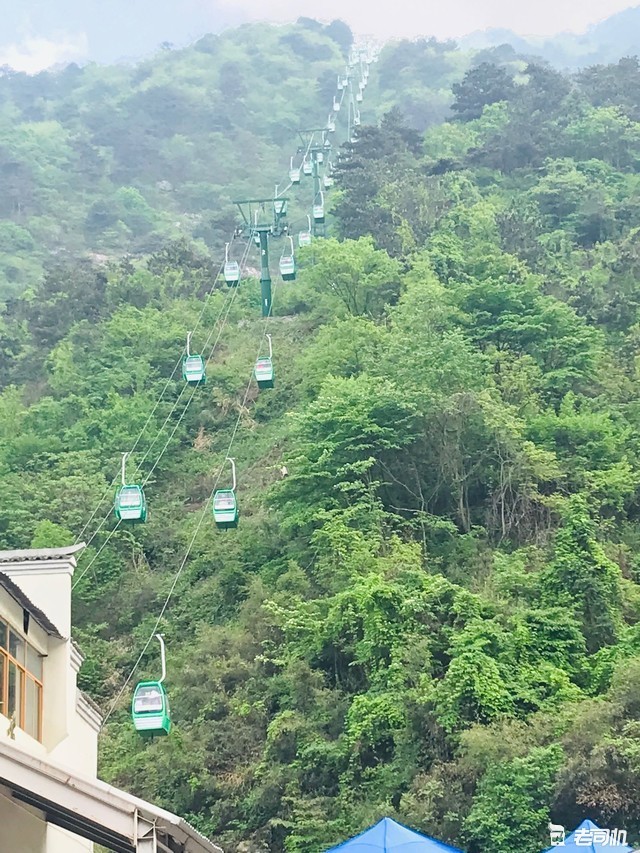 麻城,龟峰山,山门,杜鹃花海,杜鹃花,索道