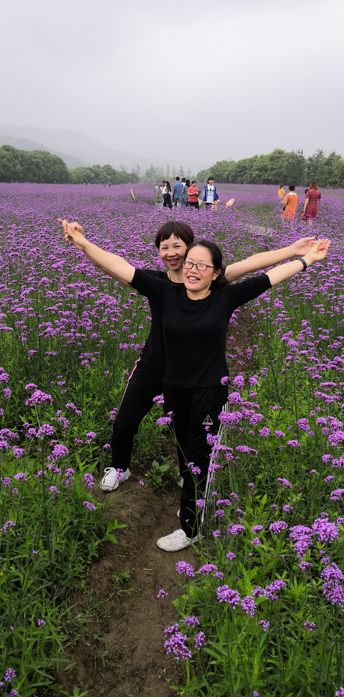 宁波荪湖花海,好漂亮的花,我却不知道这花的名字